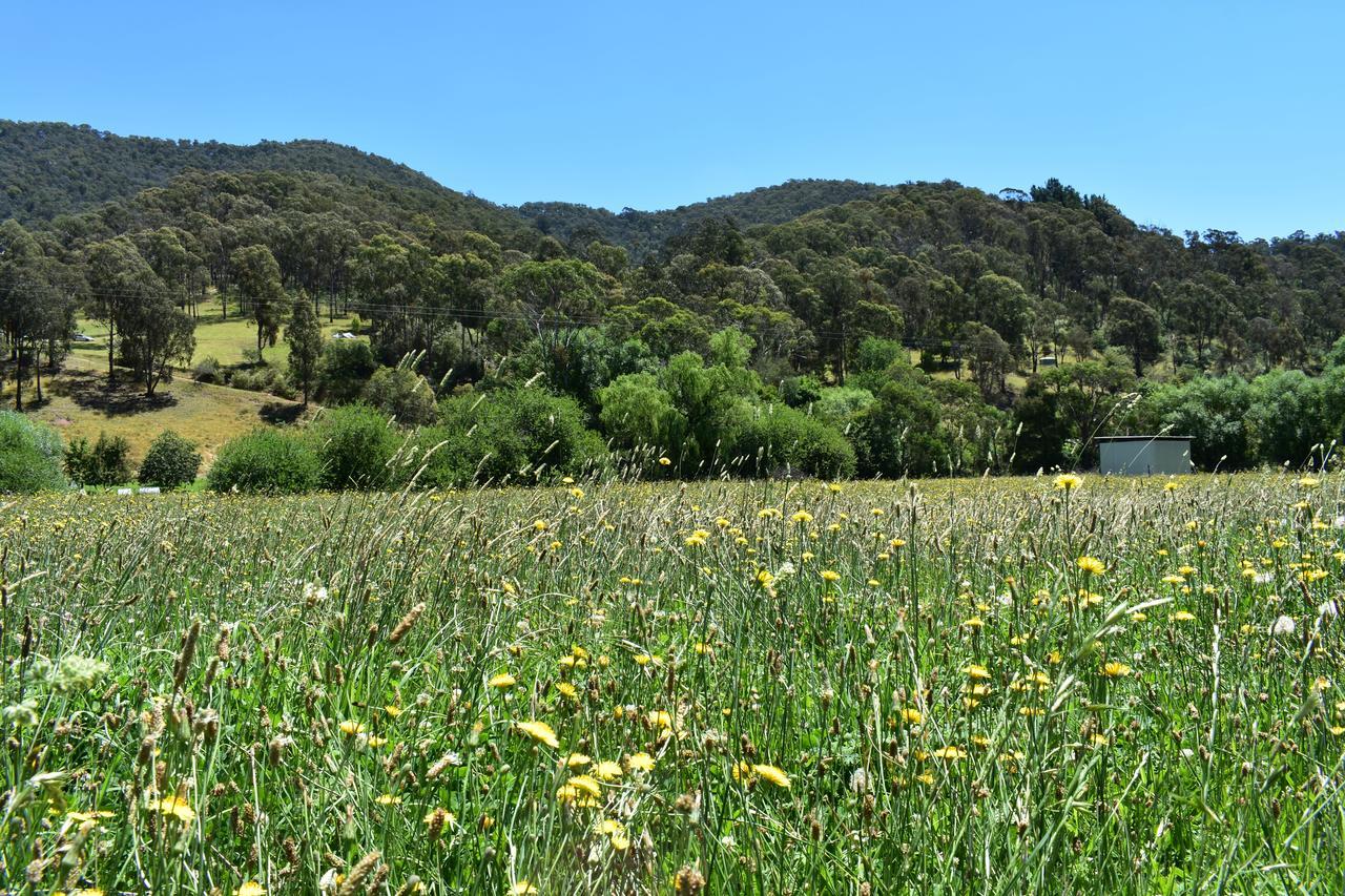 Mountain View Motel Corryong Екстер'єр фото